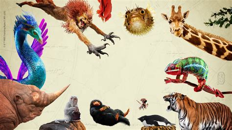 Inside Fantastic Beasts The Wonder Of Nature Wizarding World