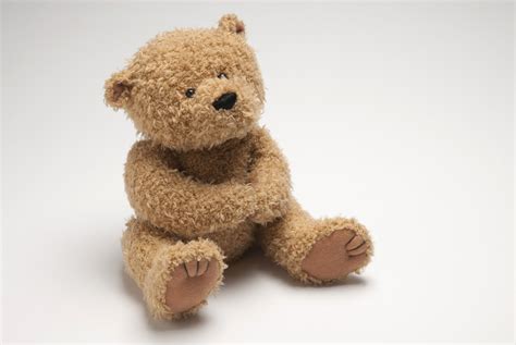 The Tsa Just Made This Giant Teddy Bear Homeless Time