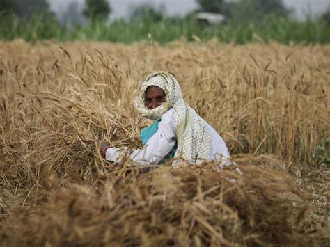 Being An Indian Farmer