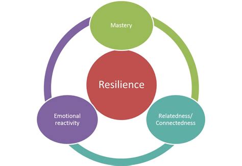 Resilience In Teens Nicole Wimmer Brisbane Psychologist Vision