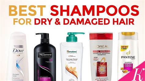 10 Best Shampoos For Dry And Damaged Hair In India With Price Youtube