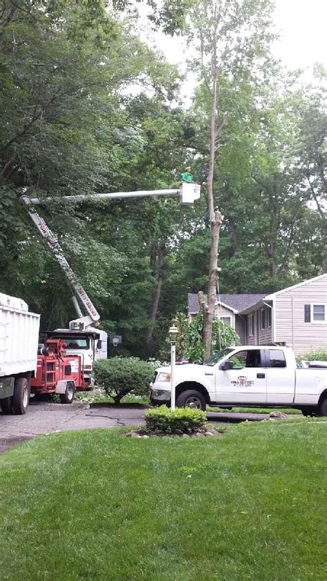 Zillow has 159 homes for sale in wayne nj. Large Tree Removal Services | A&H Tree Service | Bergen ...