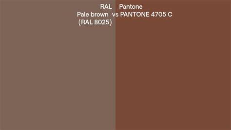 Ral Pale Brown Ral 8025 Vs Pantone 4705 C Side By Side Comparison