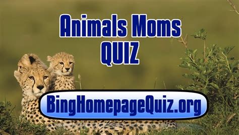 Come back next week for new questions to the weekly quiz. animal-moms-bing-quiz | Bing Homepage Quiz