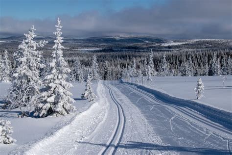 Winter Landscape In Hedmark County Norway Stock Image Image Of Forest