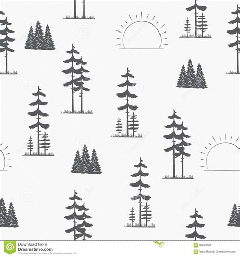 Set Of Pine Trees Forest Silhouette Isolated On White Background Hand