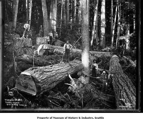 Photos A Tale Of The Northwests Logging Past