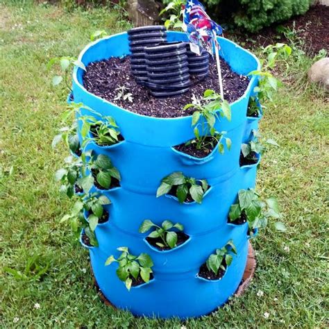 55 Gallon Plastic Drum Garden Garden Ftempo