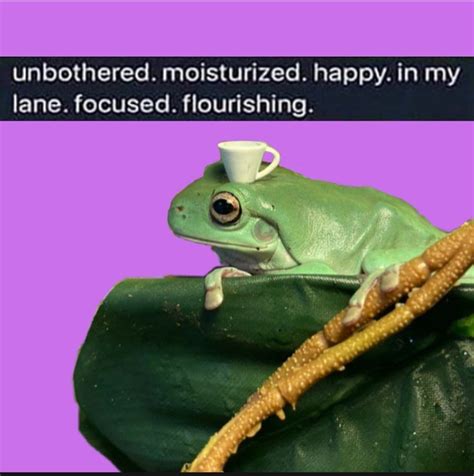 Frog Witch On Instagram “friday Vibe Check Hopefully Yall Passed I