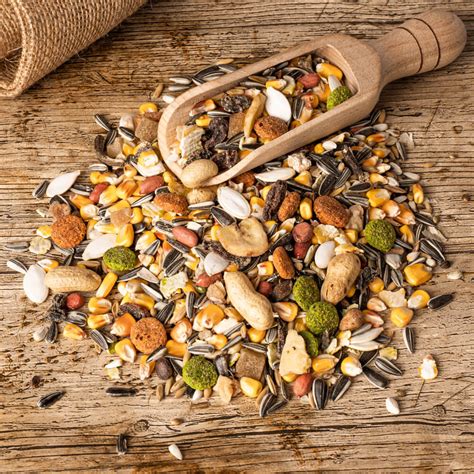 Bucktons Elite Parrot Food Seed Mix Diet 15kg Parrot Essentials