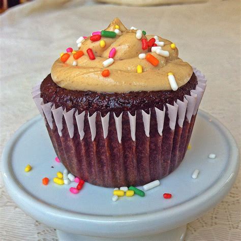 Ripped Recipes Macro Friendly Chocolate Cupcake
