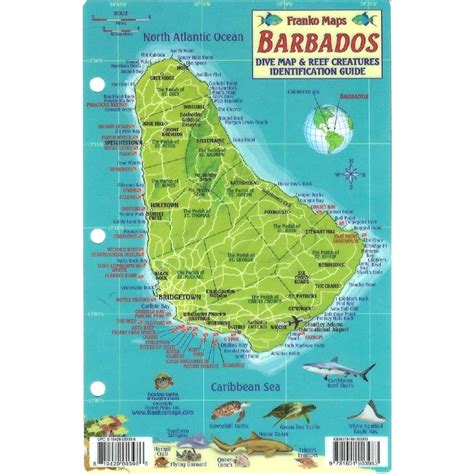 Franko Maps Barbados Reef Dive Creature Guide X Inch Barbados Dream Vacation Spots