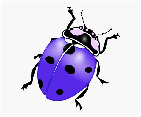 Ladybug Clipart Purple Ladybug Clipart Hd Png Download Kindpng