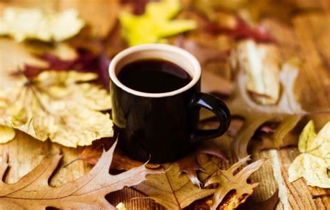 Photo Wallpaper Autumn Leaves Background Tree Coffee Fall Coffee