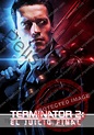 Ver Terminator 2: El juicio final Completa Online