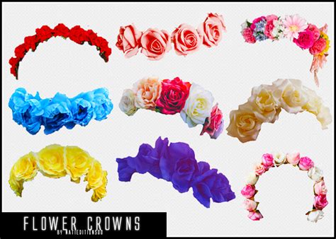 87 Flower Crowns Png By Natieditions00 On Deviantart