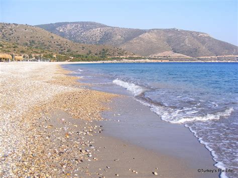 datça peninsula palamutbükü 8 years on turkey s for life