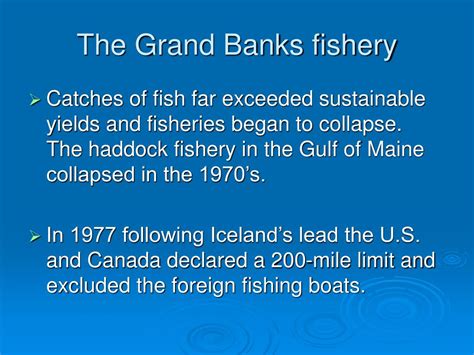 Ppt Global Fisheries And Conservation Powerpoint Presentation Free