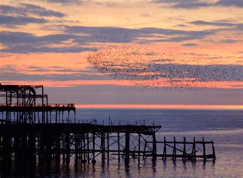 Brightonwestpier20090214sunset Brighton Journal