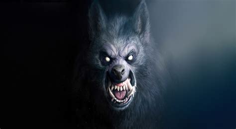 Werewolf Hd Wallpaper Background Image 3840x2112 Id