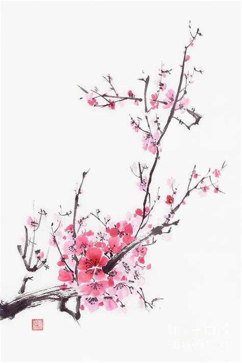 Cherry Blossom By Rachel Dutton Ubicaciondepersonascdmxgobmx