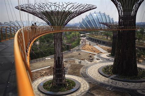 Gardens By The Bay Supertrees Of Singapore Prepares For Opening Day