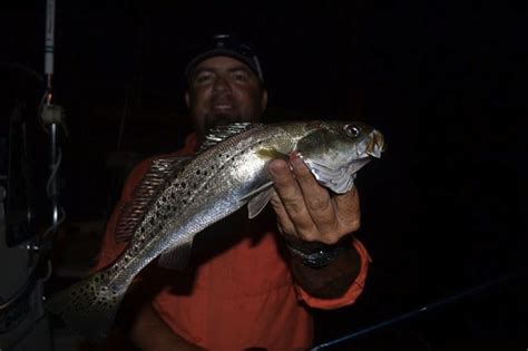 Al Jones Late Fall Night Fishing Can Lead To Bountiful