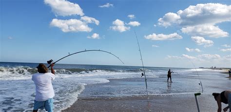 Delaware Fishing Report Weekend Wrap Up Delaware Surf