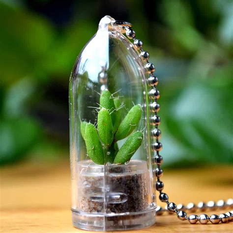 All products from where can you cactus cooler category are shipped worldwide with no additional fees. Wear It Mini Plants Coral Cactus Live Terrarium Necklace ...