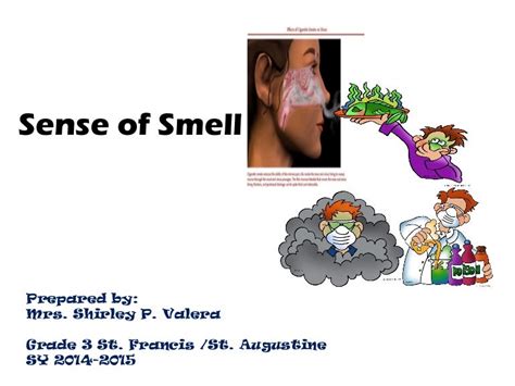 Sense Of Smellnoseppt Grade 3