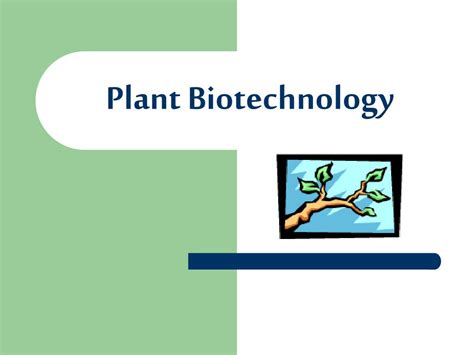 Ppt Plant Biotechnology Powerpoint Presentation Free Download Id87777