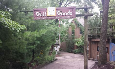 Aug 2013 Wolf Woods Entrance Zoochat
