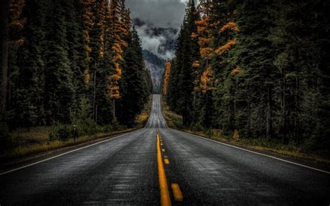 Download Wallpapers Asphalt Road Forest Highway Usa Mountain For
