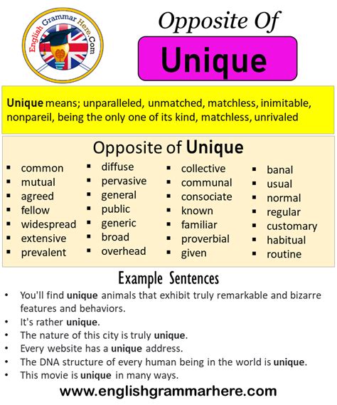 Unique Pictures Meaning Unique Opposite Antonyms Meaning Example