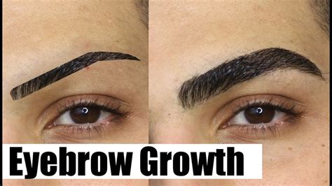 How To Grow Your Eyebrows Out Fast Thick And Natural Youtube