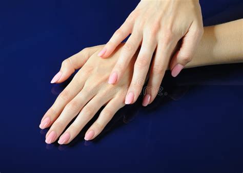 Beautiful Hands With Perfect Nail Pink Manicure Stock Image Image Of