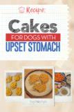 However, when fed in the long. Recipe: Homemade Chicken & Rice Cakes for Dogs with Upset ...