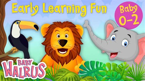 Early Learning Fun Collection Jungle Animals And Their Sounds