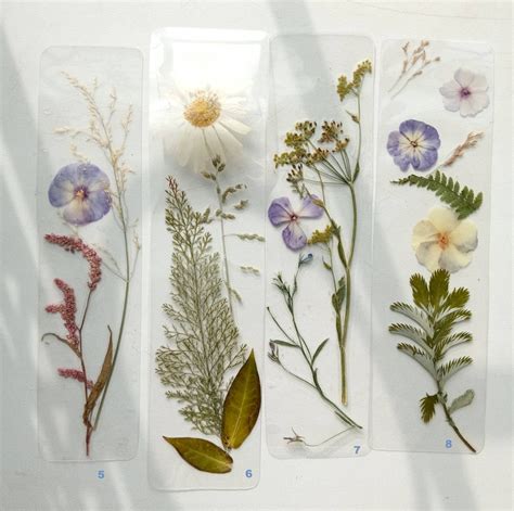 Laminated Bookmarks Pressed Flowers Dried Flowers Pressed Etsy