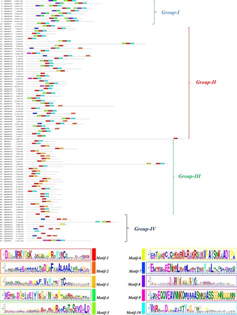 the schematic representation of motif analysis the upper panel download scientific diagram