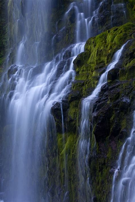 17 Best Images About Proxy Falls Oregon On Pinterest