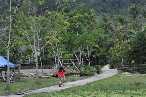 Sebelum masuk di dalam air sungai, anda dapat mengamati dulu apakah di atas lumpur terdapat gumpalan. Apakah Ada Ikan Sakti Di Sungai Jernih / Legenda Asal Ikan Sakti Sungai Janiah Eri Satria / Kini ...