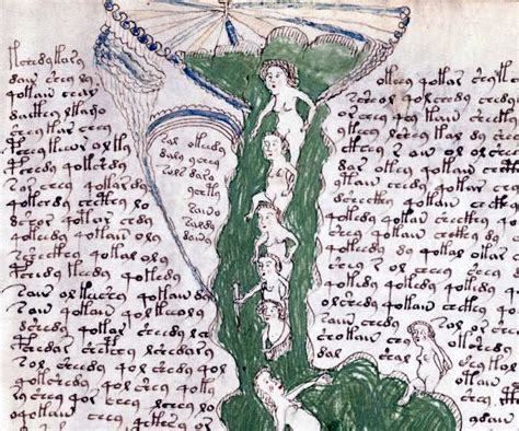 Manoscritto Voynich Voynich Manuscript Manuscript Illuminated
