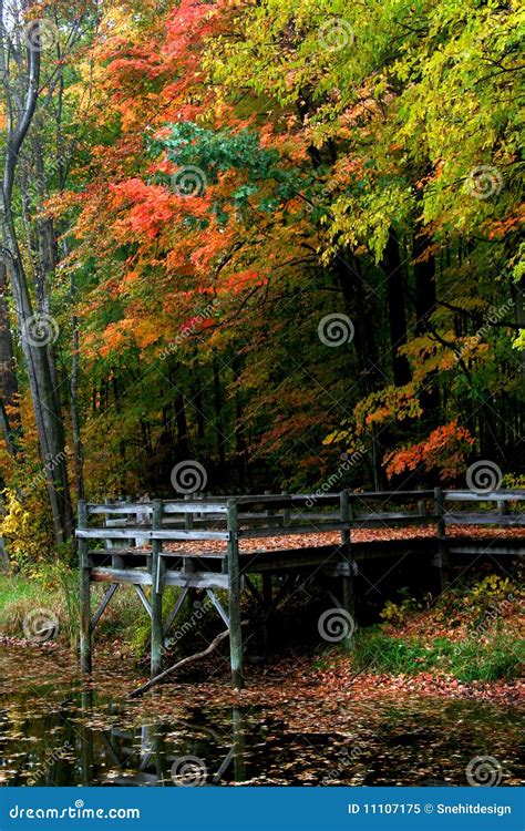 Scenic Autumn Landscape In Pennsylvania Stock Image Image Of Seasons