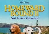 Volviendo a Casa 2: Perdidos en San Francisco (1996) 720p 1080p Latino ...