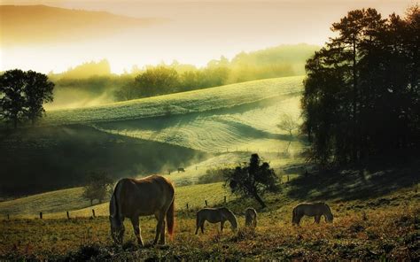 Countryside Wallpaper 60 Pictures