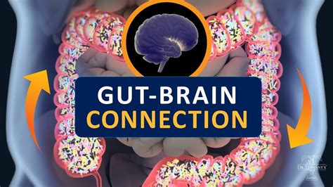 The Brain Gut Connection How Your Microbiome Affects Your Brain Youtube