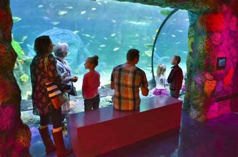 Sea Life Comes To Great Lakes