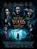 Into the Woods, Promenons-nous dans les bois - film 2014 - AlloCiné