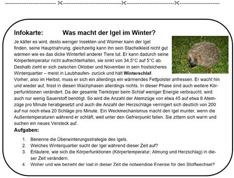 Biologie deckblatt mensch | bio deckblätter. Tiere Im Winter Arbeitsblatter Klasse 5